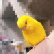 ヒメ日記 2025/07/06 12:33 投稿 しおり 素敵な女の子は好きですか？