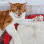 ヒメ日記 2025/07/07 17:18 投稿 しおり 素敵な女の子は好きですか？