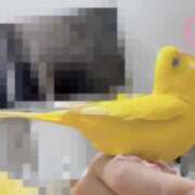 ヒメ日記 2025/07/07 21:12 投稿 しおり 素敵な女の子は好きですか？