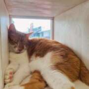 ヒメ日記 2025/07/08 20:03 投稿 しおり 素敵な女の子は好きですか？