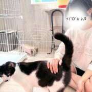 ヒメ日記 2025/07/11 21:15 投稿 しおり 素敵な女の子は好きですか？