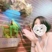 ヒメ日記 2025/07/16 22:09 投稿 しおり 素敵な女の子は好きですか？