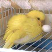 ヒメ日記 2025/07/19 18:00 投稿 しおり 素敵な女の子は好きですか？