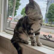 ヒメ日記 2025/07/30 10:12 投稿 しおり 素敵な女の子は好きですか？