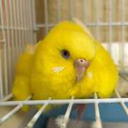 ヒメ日記 2025/08/03 06:30 投稿 しおり 素敵な女の子は好きですか？