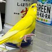 ヒメ日記 2025/08/11 19:57 投稿 しおり 素敵な女の子は好きですか？