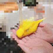 ヒメ日記 2025/08/15 19:57 投稿 しおり 素敵な女の子は好きですか？