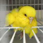 ヒメ日記 2025/10/05 12:28 投稿 しおり 素敵な女の子は好きですか？