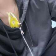 ヒメ日記 2025/10/24 18:42 投稿 しおり 素敵な女の子は好きですか？