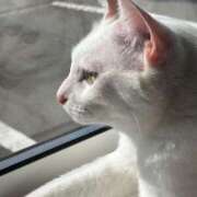 ヒメ日記 2025/11/17 21:18 投稿 しおり 素敵な女の子は好きですか？