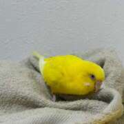 ヒメ日記 2025/11/22 17:33 投稿 しおり 素敵な女の子は好きですか？