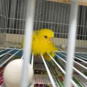 ヒメ日記 2026/01/06 15:03 投稿 しおり 素敵な女の子は好きですか？