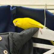 ヒメ日記 2026/01/07 06:48 投稿 しおり 素敵な女の子は好きですか？