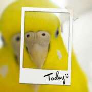 ヒメ日記 2026/01/28 22:18 投稿 しおり 素敵な女の子は好きですか？