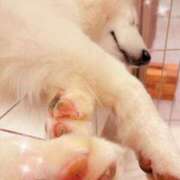 ヒメ日記 2026/02/02 08:03 投稿 しおり 素敵な女の子は好きですか？