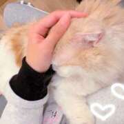 ヒメ日記 2026/02/02 17:04 投稿 しおり 素敵な女の子は好きですか？