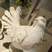 ヒメ日記 2026/02/09 21:19 投稿 しおり 素敵な女の子は好きですか？