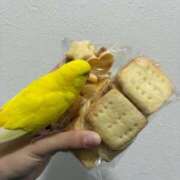 ヒメ日記 2026/02/15 17:18 投稿 しおり 素敵な女の子は好きですか？