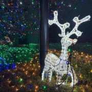 ヒメ日記 2026/02/15 21:12 投稿 しおり 素敵な女の子は好きですか？