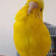 ヒメ日記 2026/02/21 17:03 投稿 しおり 素敵な女の子は好きですか？