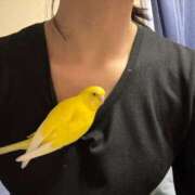 ヒメ日記 2026/02/26 06:12 投稿 しおり 素敵な女の子は好きですか？