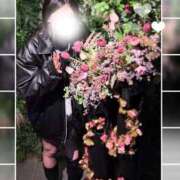 ヒメ日記 2026/02/26 21:18 投稿 しおり 素敵な女の子は好きですか？