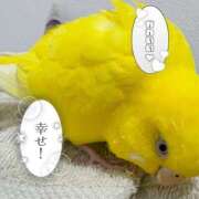 ヒメ日記 2026/03/02 18:18 投稿 しおり 素敵な女の子は好きですか？