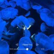 しおり 🪼 素敵な女の子は好きですか？