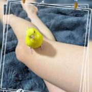 ヒメ日記 2026/03/11 17:19 投稿 しおり 素敵な女の子は好きですか？