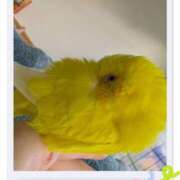 ヒメ日記 2026/03/14 12:48 投稿 しおり 素敵な女の子は好きですか？