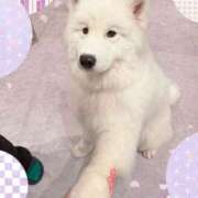 ヒメ日記 2026/03/21 09:19 投稿 しおり 素敵な女の子は好きですか？