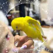 ヒメ日記 2026/03/26 12:27 投稿 しおり 素敵な女の子は好きですか？