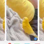 ヒメ日記 2026/03/28 09:12 投稿 しおり 素敵な女の子は好きですか？