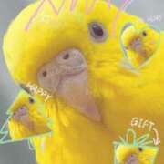 ヒメ日記 2026/03/29 09:27 投稿 しおり 素敵な女の子は好きですか？