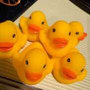 ヒメ日記 2026/04/03 09:33 投稿 しおり 素敵な女の子は好きですか？