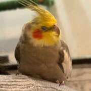 ヒメ日記 2026/04/07 01:33 投稿 しおり 素敵な女の子は好きですか？