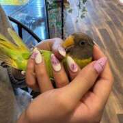 ヒメ日記 2026/04/16 09:18 投稿 しおり 素敵な女の子は好きですか？