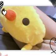 ヒメ日記 2026/04/21 09:18 投稿 しおり 素敵な女の子は好きですか？