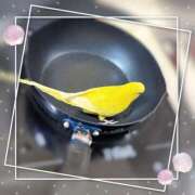 ヒメ日記 2026/04/22 12:33 投稿 しおり 素敵な女の子は好きですか？