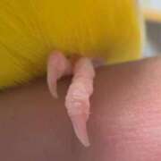 ヒメ日記 2026/08/06 09:29 投稿 しおり 素敵な女の子は好きですか？