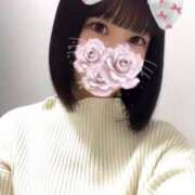 ヒメ日記 2024/12/31 06:04 投稿 りん アラモード