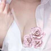 ヒメ日記 2025/01/09 20:11 投稿 りん アラモード