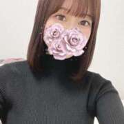 ヒメ日記 2025/03/16 09:16 投稿 りん アラモード