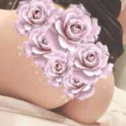 ヒメ日記 2025/03/26 12:44 投稿 りん アラモード