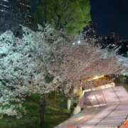 ヒメ日記 2025/04/16 13:50 投稿 りん アラモード