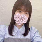 ヒメ日記 2025/07/29 07:25 投稿 りん アラモード