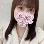 ヒメ日記 2025/08/24 10:10 投稿 りん アラモード