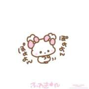 ヒメ日記 2025/09/15 14:40 投稿 りん アラモード