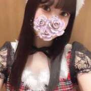 ヒメ日記 2025/12/09 12:12 投稿 りん アラモード