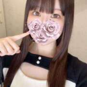 ヒメ日記 2026/03/15 08:02 投稿 りん アラモード